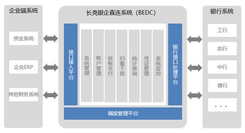 好產(chǎn)品會(huì)說(shuō)話(huà) 長(zhǎng)亮科技新一代銀企直連系統(tǒng)秀絕活